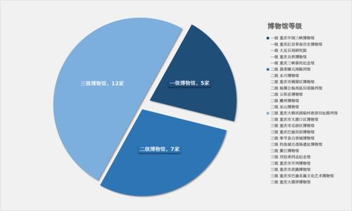 重慶文博事業(yè)蓬勃發(fā)展 博物館總數(shù)達(dá)122家 惠民服務(wù)與網(wǎng)絡(luò)技術(shù)雙輪驅(qū)動(dòng)